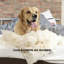 Wood Free Standing Pet Gate-340737991