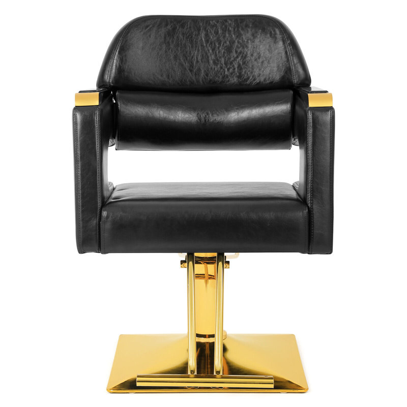 Lowanda Backed Adjustable Height Ergonomic Active Stool with Footrest