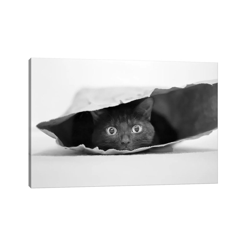 Cat In A Bag by Jeremy Holthuysen - Wrapped Canvas Print, 20.32 cm H x 30.48 cm W