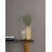 Shetland Wallpaper-116329162