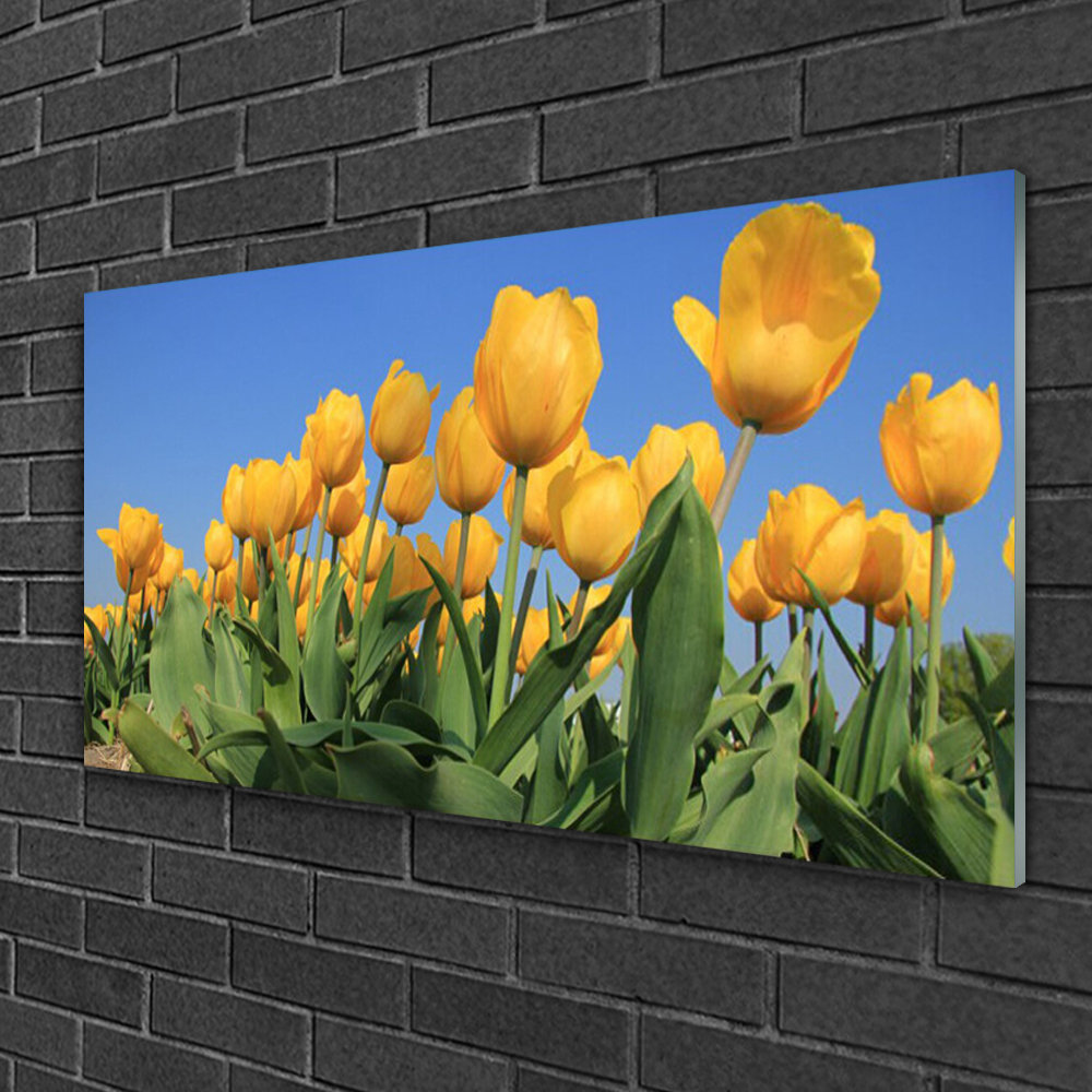 Glasbild Tulpen Floral