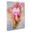 Pink Bleeding Heart Flowers - Wrapped Canvas-56665315
