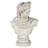 Apollo Belvedere Bust Statue