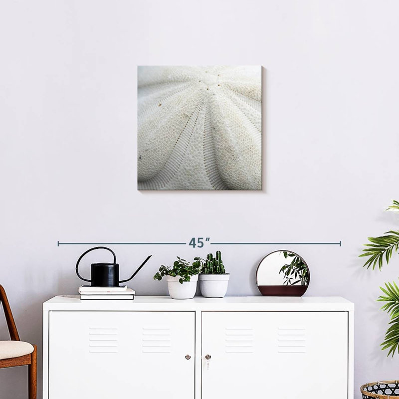 Crowle Textured Sand Dollar, 20" H x 20" W