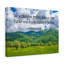 No Frame Print on Canvas-501538537