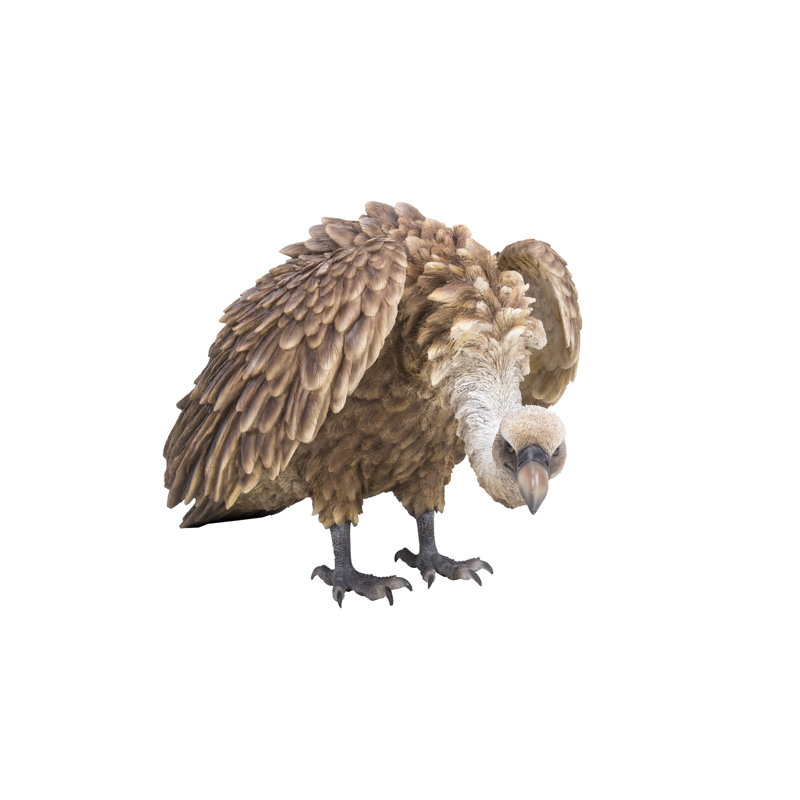 Realistic Brown and White Vulture Garden Statue