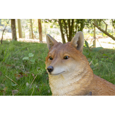 Mother and Baby Fox Sitting