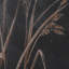 Golden Grasses II By Studio-123323396