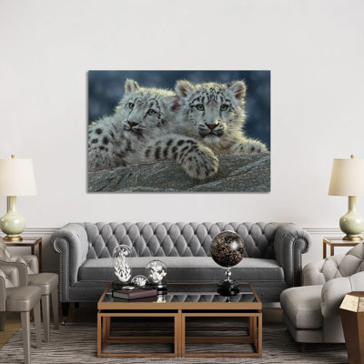 Oursons snow leopard, horizontal