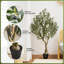 180cm Plant-487328006