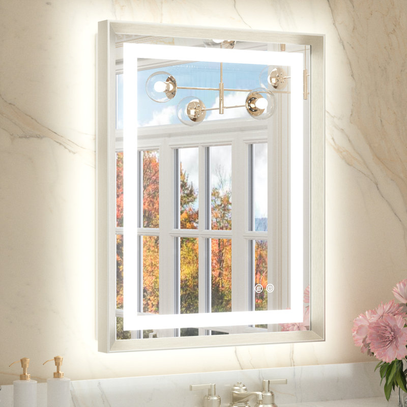 Miroir de salle de bain Dineen, Nickel brossé, 28 po x 20 po