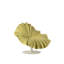 Bloom Chair-576823617-576823645