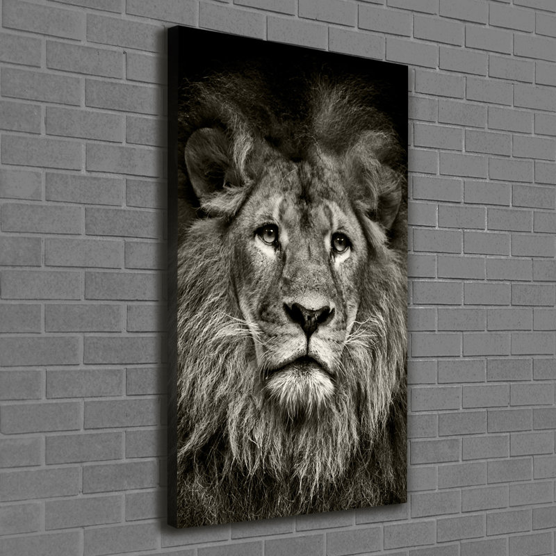 Lion - Wrapped Canvas Print