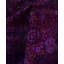 Overdyed One-of-a-Kind 8' 1" X 17' 4" Hand Knotted Area Rug
