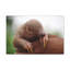 Wall Art on Canvas-1351301675
