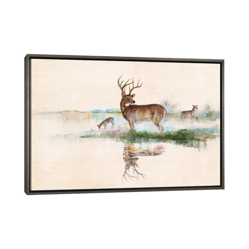 «Misty Deer» par Ruane Manning - reproduction d'art, H 32 po x l 48 po x P 1,5 po, Toile avec cadre gris, Aucun mat