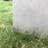 Planter-233710364-169871259