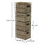 Seagrass Solid Wood 43.18cm W 4 - Drawer Chest of Drawers
