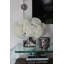 White Hydrangeas In Clear Glass Cylinder Vase-875334990-875334991