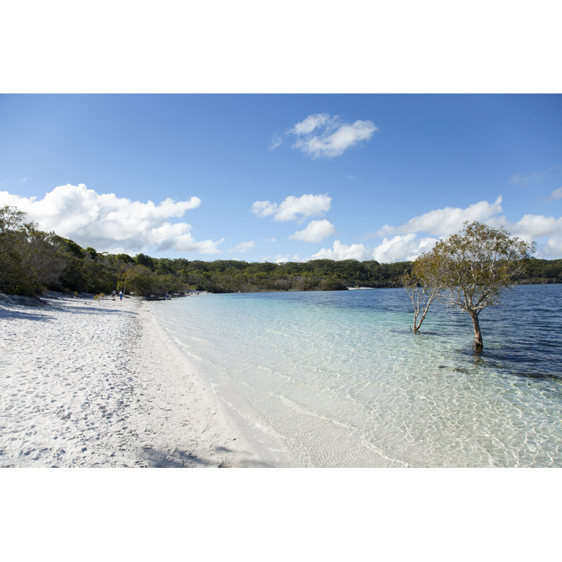 Lake Mckenzie, Fraser Island, Queensland, Australia - Wrapped Canvas Print, 61cm H x 91cm W x 3.8cm D
