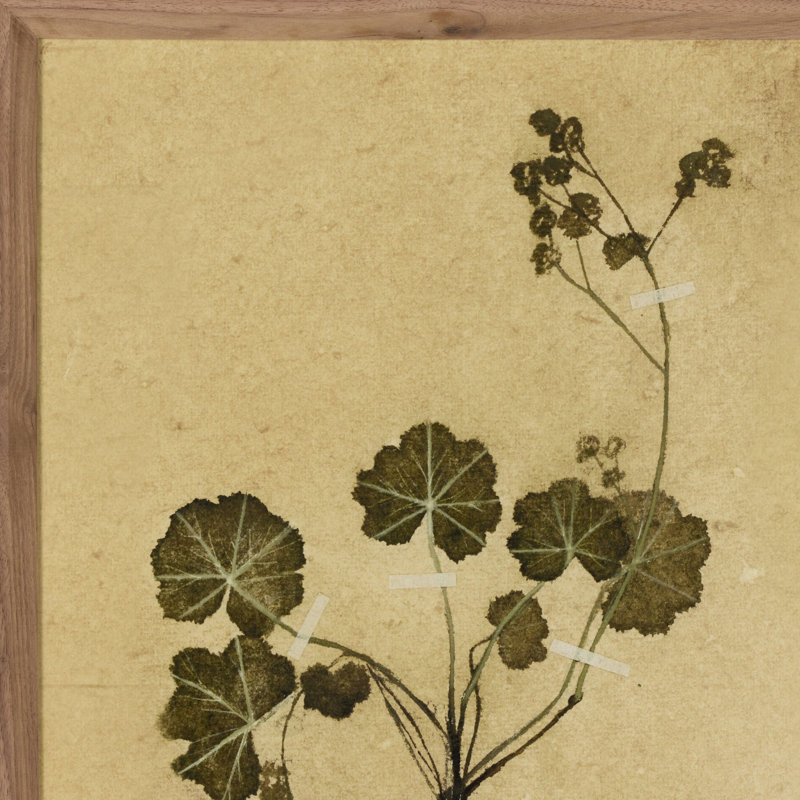 Petite Study No. VI By Hannah Winters, 32" H x 24" W