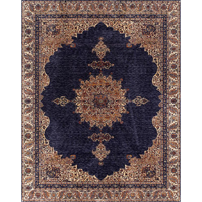 Okechukwu Oriental Area Rug in Brown/Black
