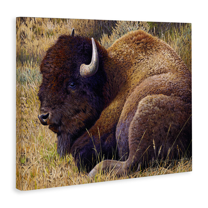 «Relaxing Young Bison» par Rod Lawrence, H 30 po x l 40 po