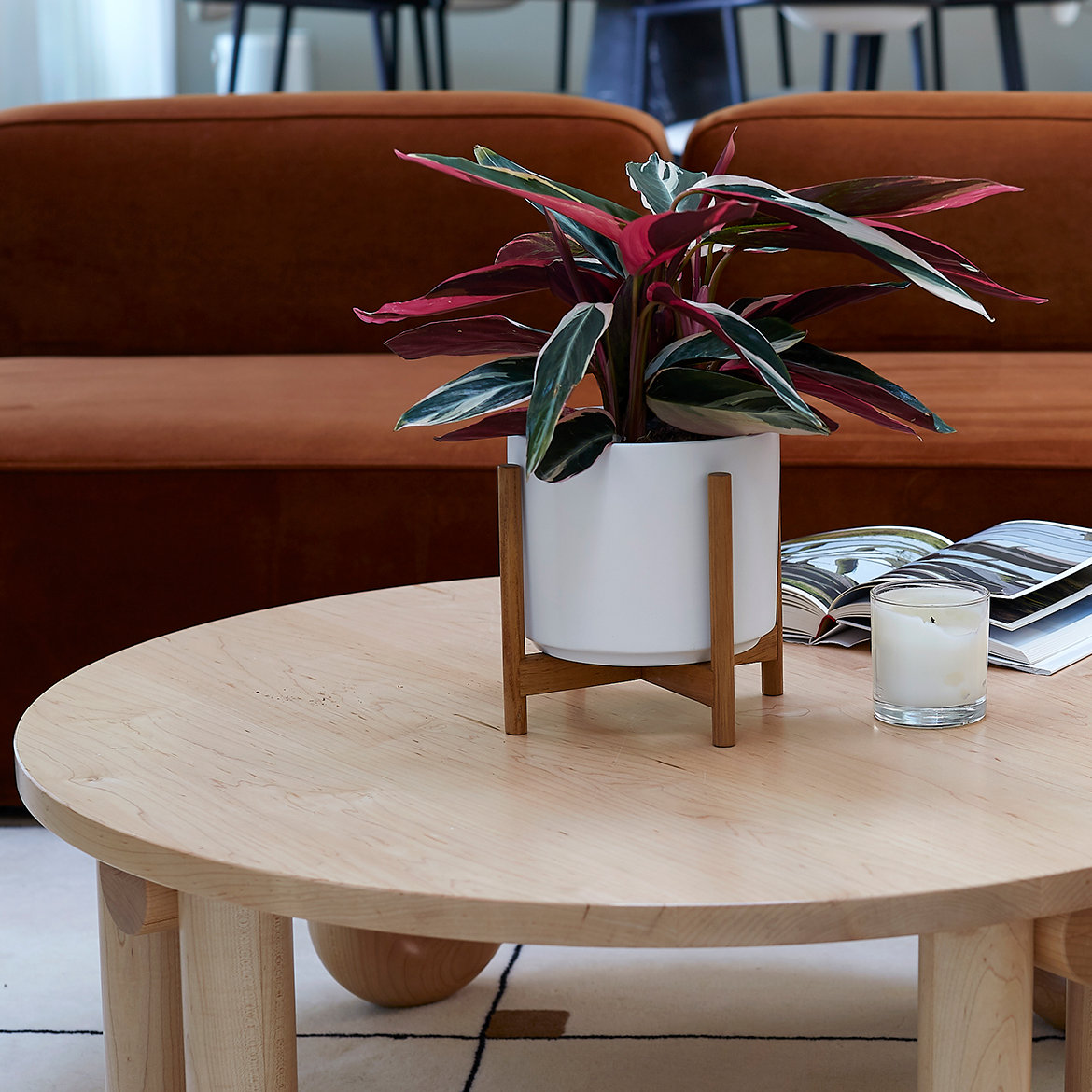 Evantia Ceramic Pot Planter
