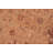 Baccio Wool Oriental Indoor Rug
