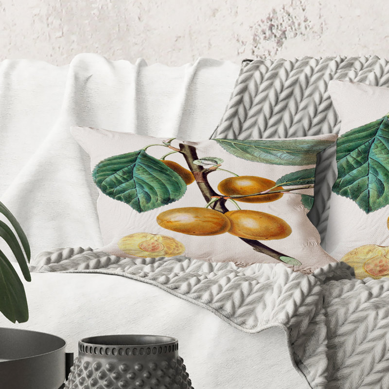 Coussin Rectangle, Vintage Fruits II - Farmhouse