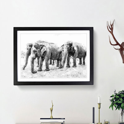 Elephants in Sri Lanka - Framed Print