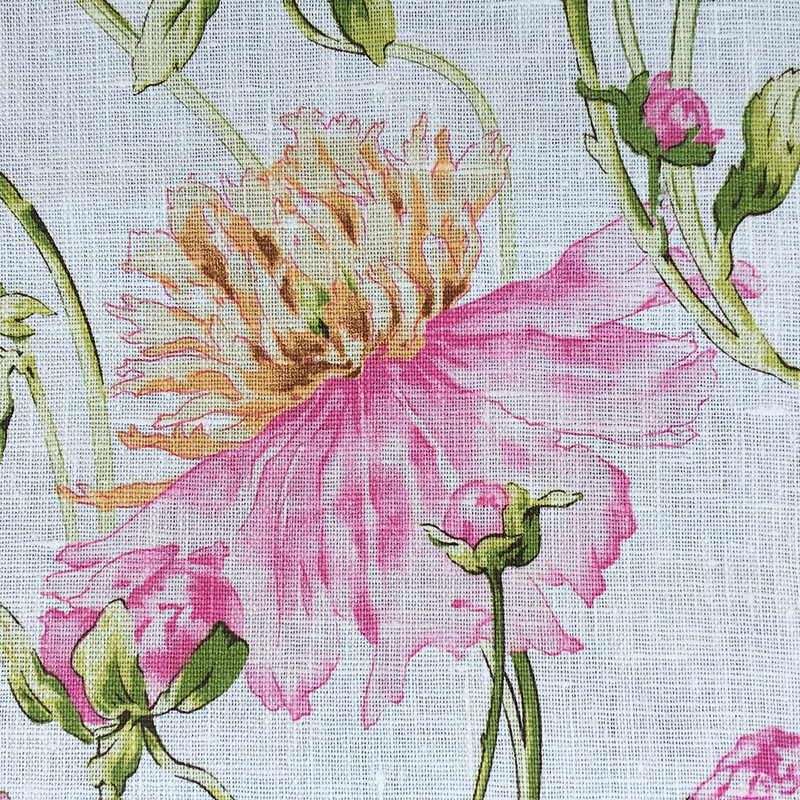 Medusa, Oyster Pink