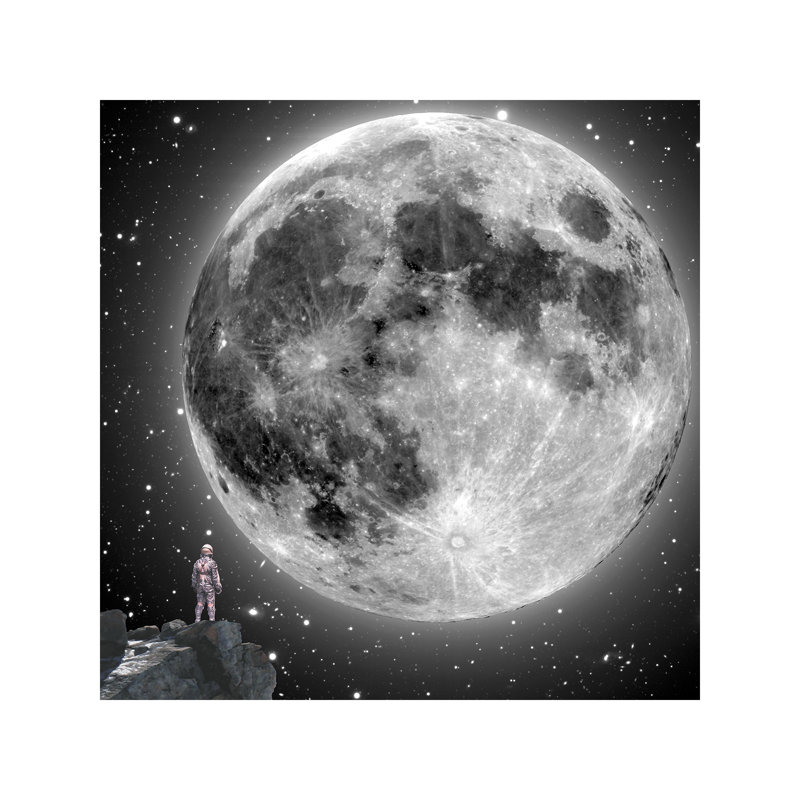 Moonstruck by Jason Brueck - Wrapped Canvas Giclee Art Print, 93.98 cm H x 93.98 cm W x 3.175 cm D