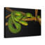 No Frame Print on Canvas-1163925623