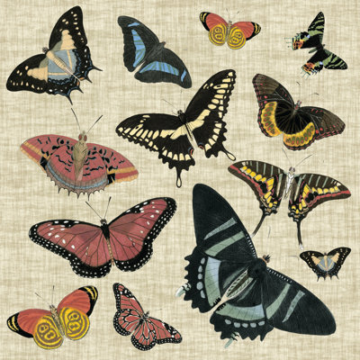 Papillons et lin II