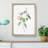 Austrian Briar Rose In Pink by Pierre-Joseph Redoute - Single Picture Frame Painting-55457027-55457026