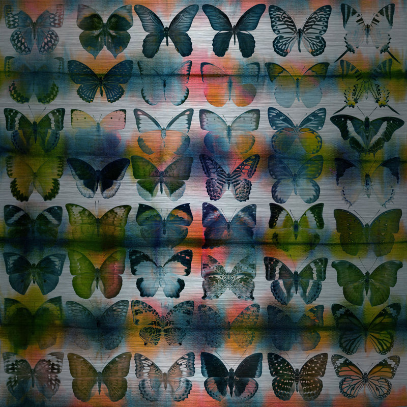 Reproduction d’art sur métal « papillons squared » par parvez taj, H 32 po x l 32 po x P 1,5 po