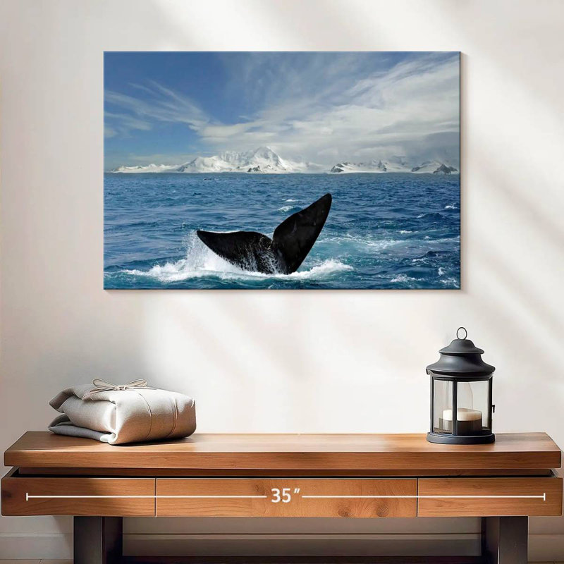 Queue de baleine de Nicci Antarctique