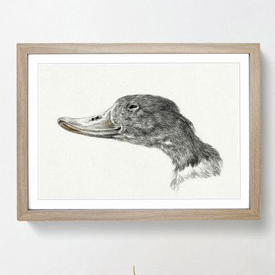 Head of a Duck by Jean Bernard - Framed Print