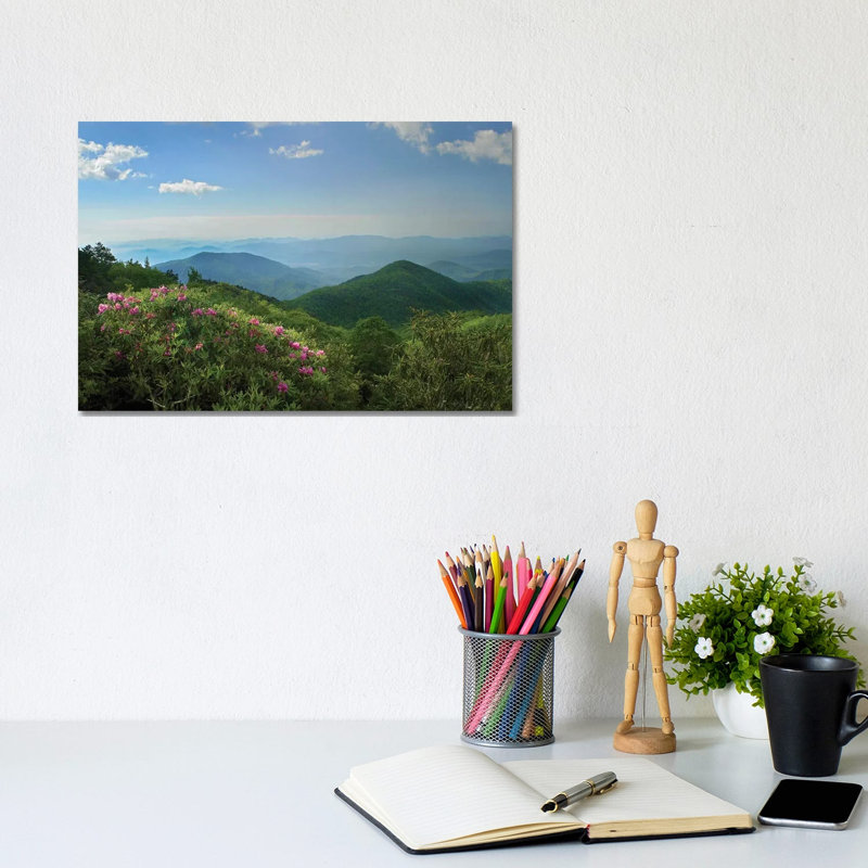 Rhododendron Tree Flowering At Craggy Gardens, Blue Ridge Parkway, North Carolina by Tim Fitzharris - Wrapped Canvas Print