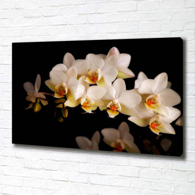 Orchid - Wrapped Canvas Print