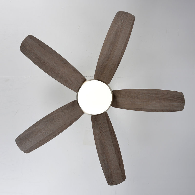 Ventilateur de plafond 5 pales réversibles en contreplaqué avec kit d'éclairage 3 couleurs, DEL, 6 vitesses DC, télécommande