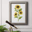 Sunflower Trio II - reproduction d'art sur toile-1473490193
