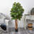 Faux Fiddle Leaf Fig Tree in Pot-1108794076