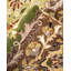 Classic One-of-a-Kind 8' 1" X 8' 1" Hand Knotted Area Rug
