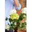 Hydrangea Arrangement-290481392