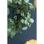 Ensemble de 2, bougie anneau d'eucalyptus vert D14,2 "