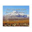 Fear Not Little Flock Luke-89703687
