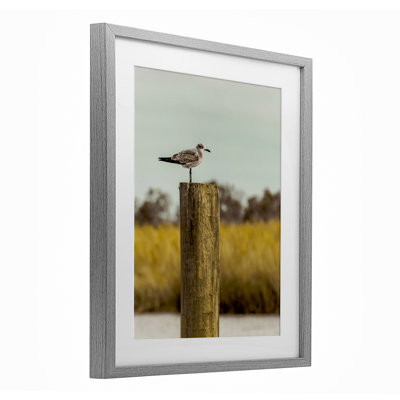 «Gull On Pile», reproduction d'art sous verre, conception de Christy Berry