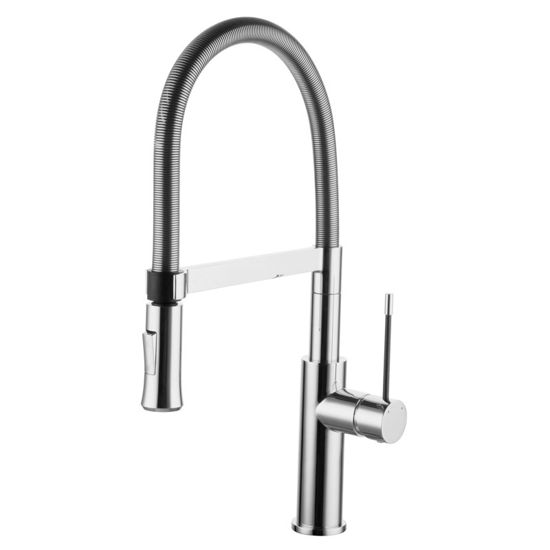 Belfry Kitchen Pull Out Kitchen Faucet